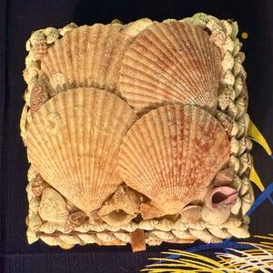 Sea Shell Covered Sailors Trinket Jewelry Keepsake Box Brown Felt Lined Vintage